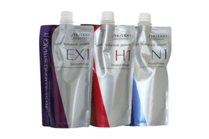 shiseido H1 N1 EX1